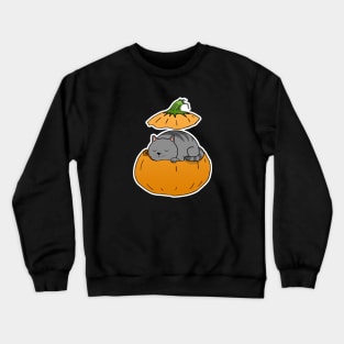 Pumpkin Cat Crewneck Sweatshirt